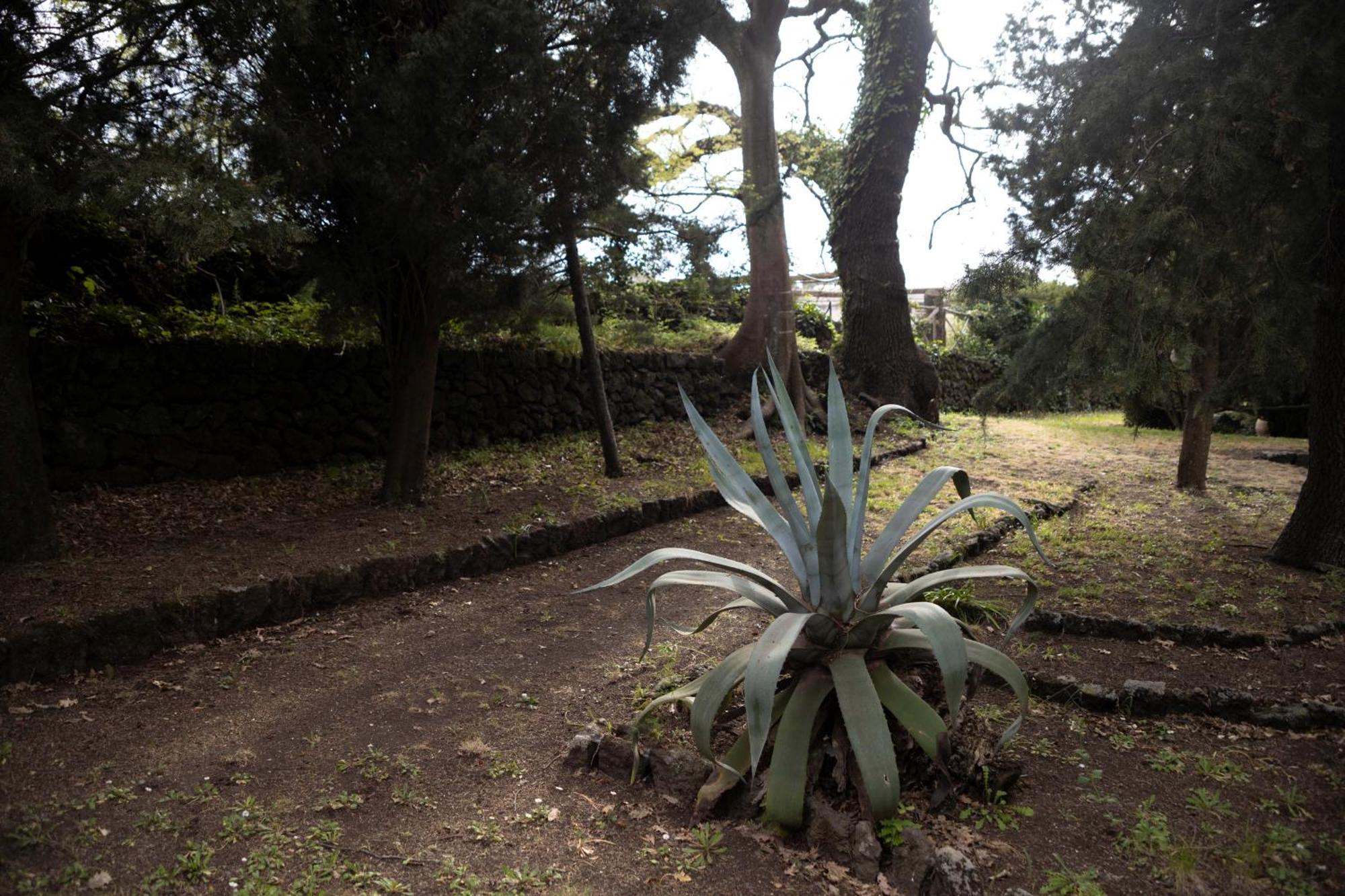 Parco Statella Villa Montelaguardia Buitenkant foto