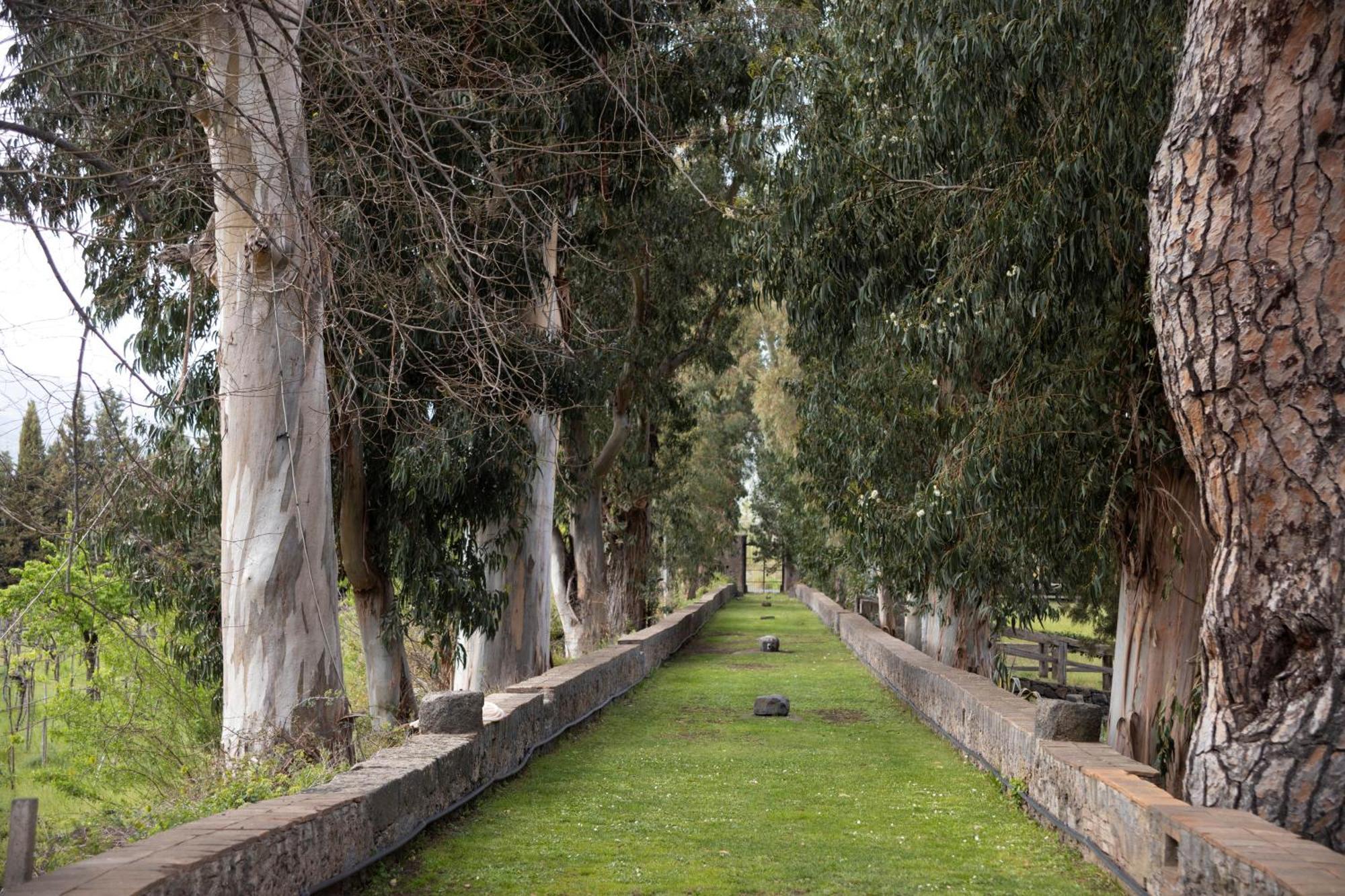 Parco Statella Villa Montelaguardia Buitenkant foto
