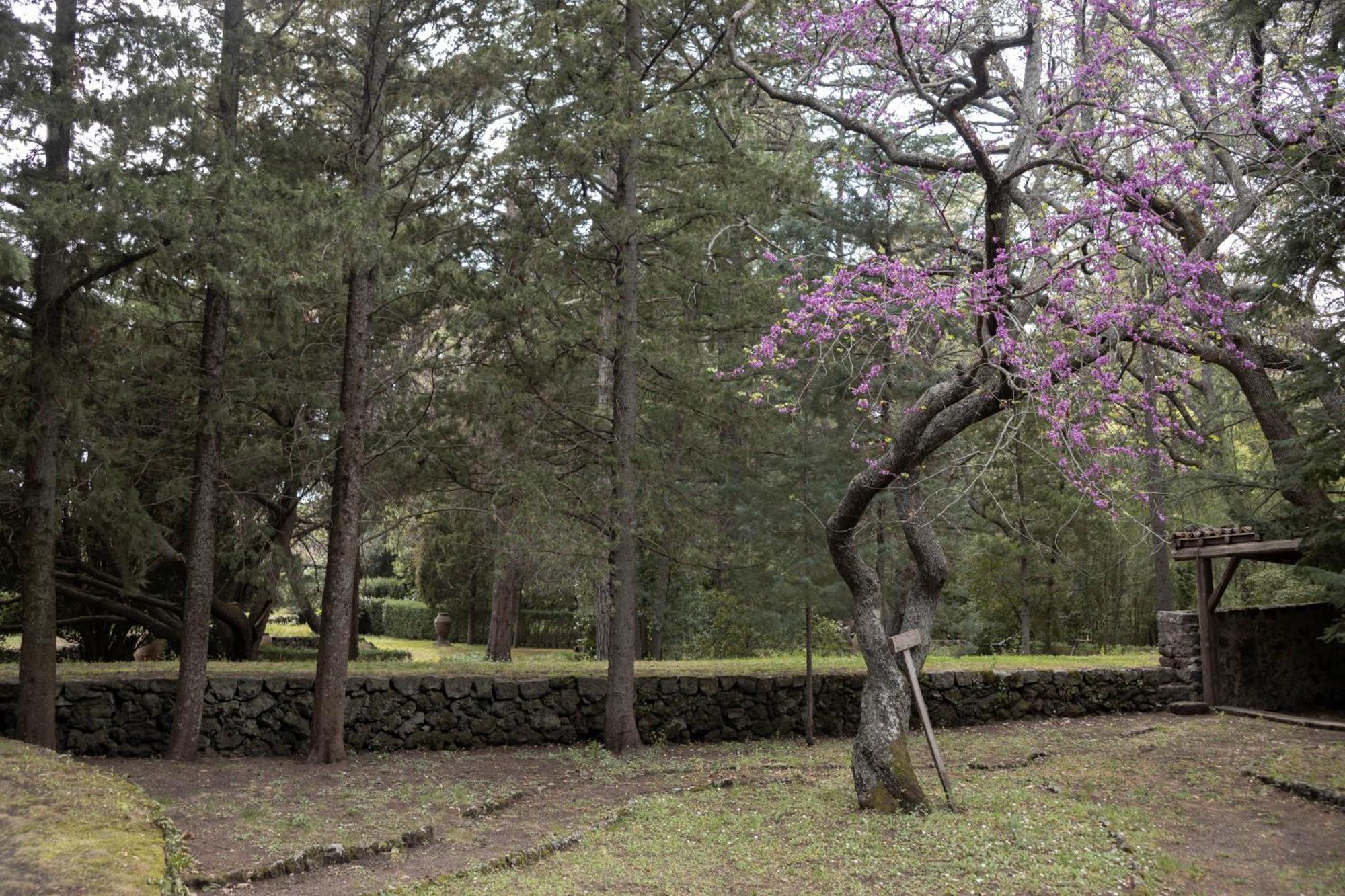Parco Statella Villa Montelaguardia Buitenkant foto