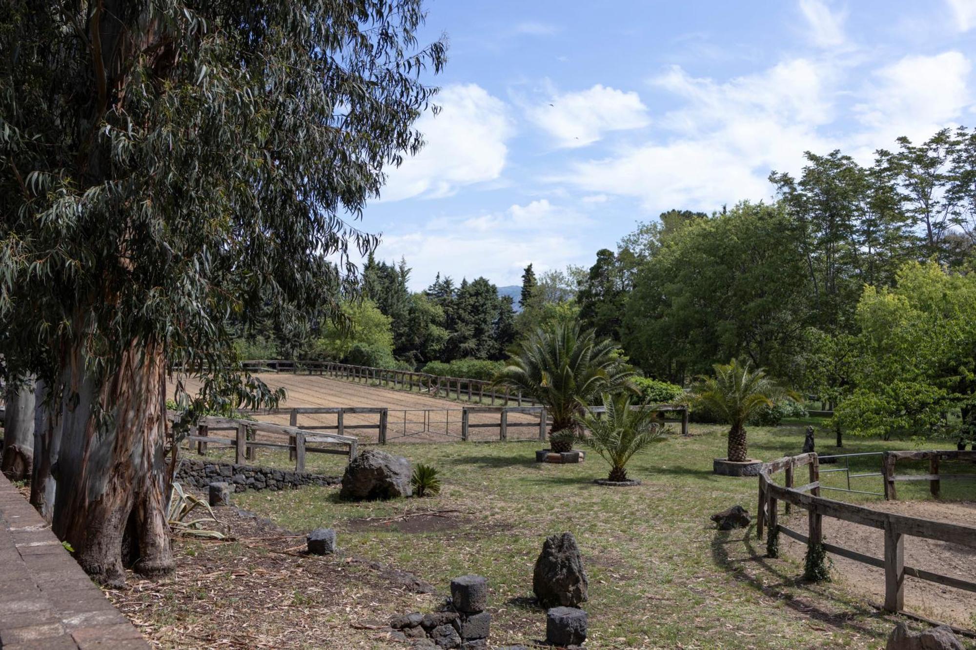 Parco Statella Villa Montelaguardia Buitenkant foto