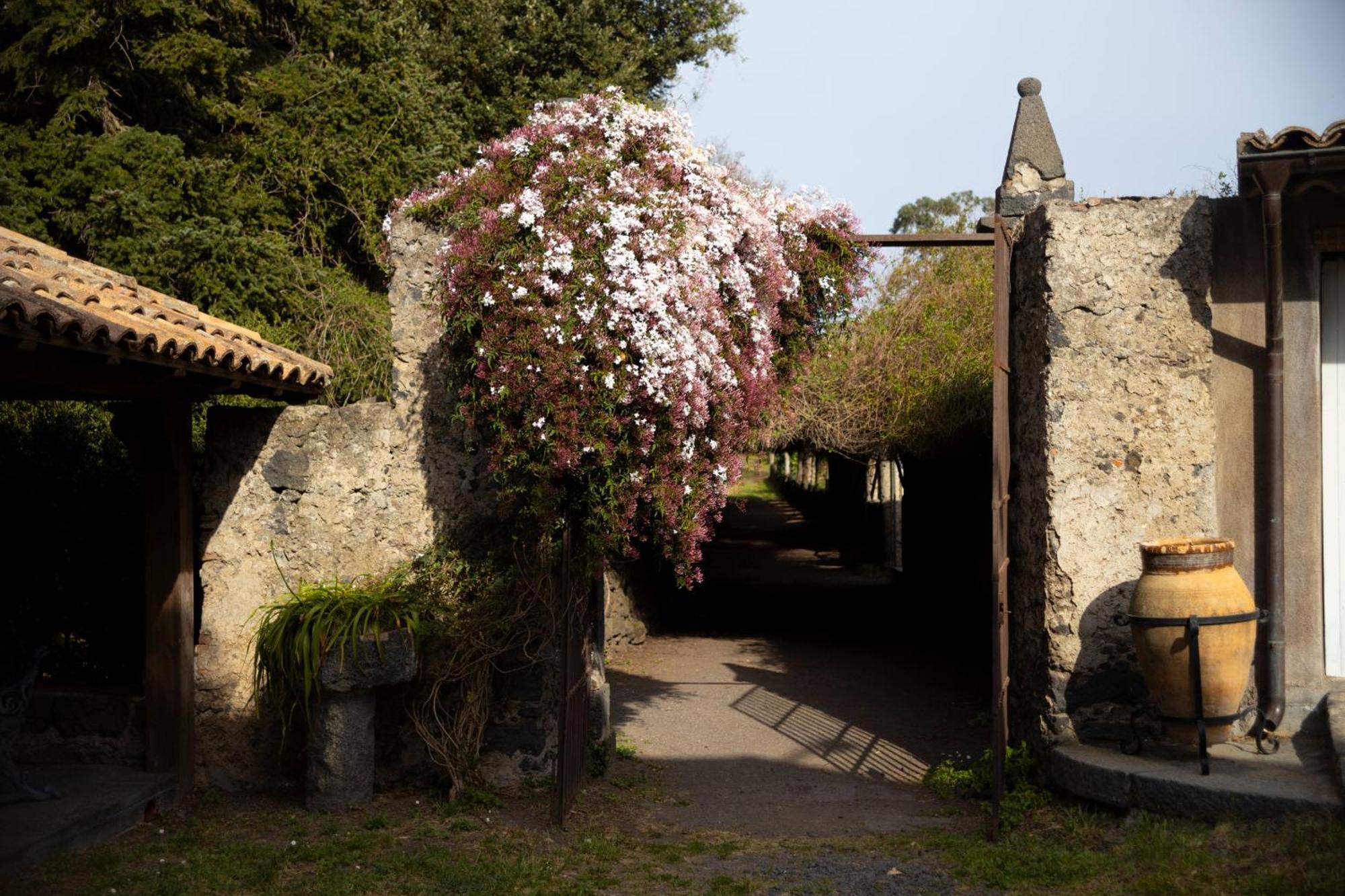 Parco Statella Villa Montelaguardia Buitenkant foto