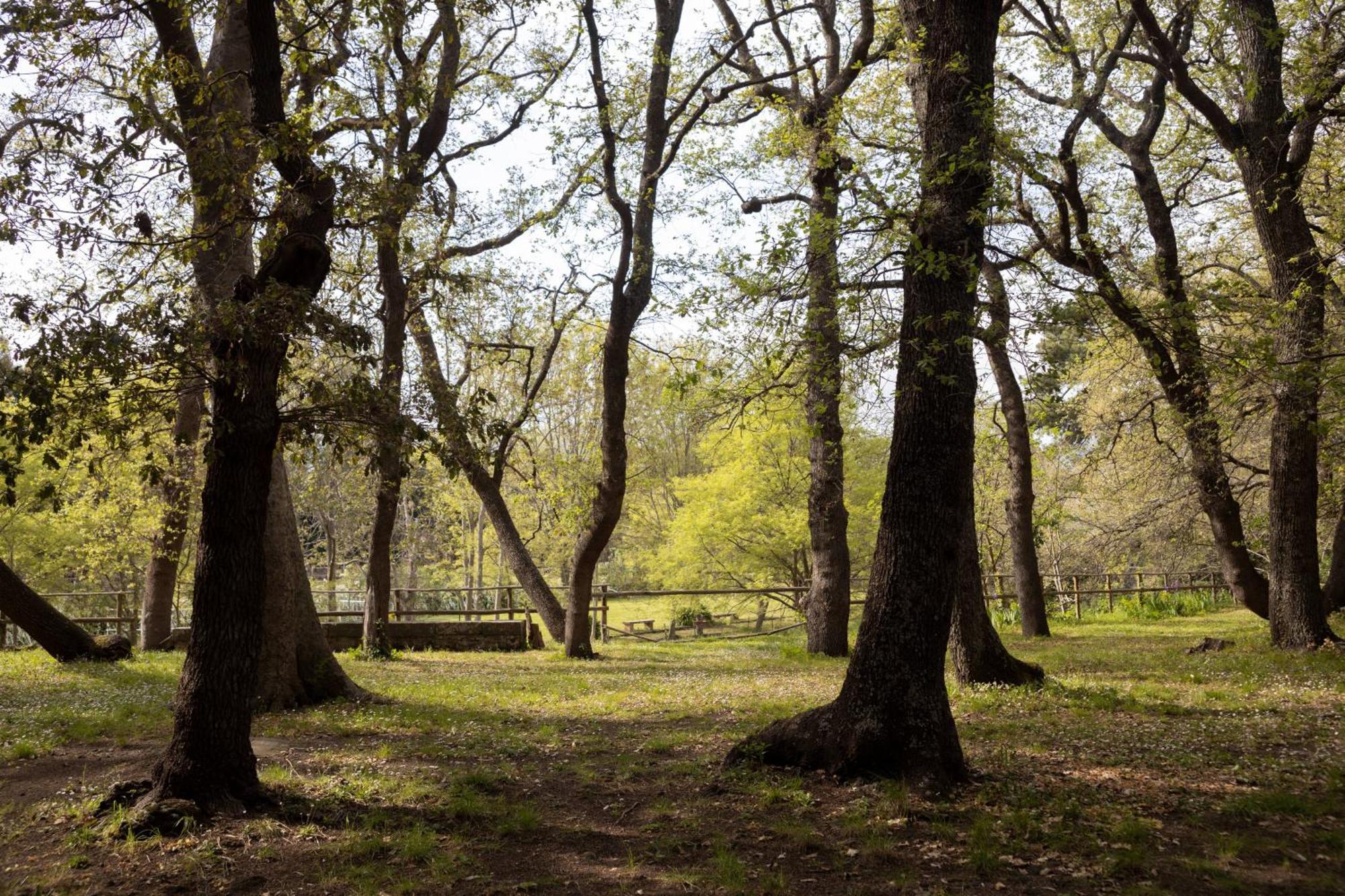 Parco Statella Villa Montelaguardia Buitenkant foto